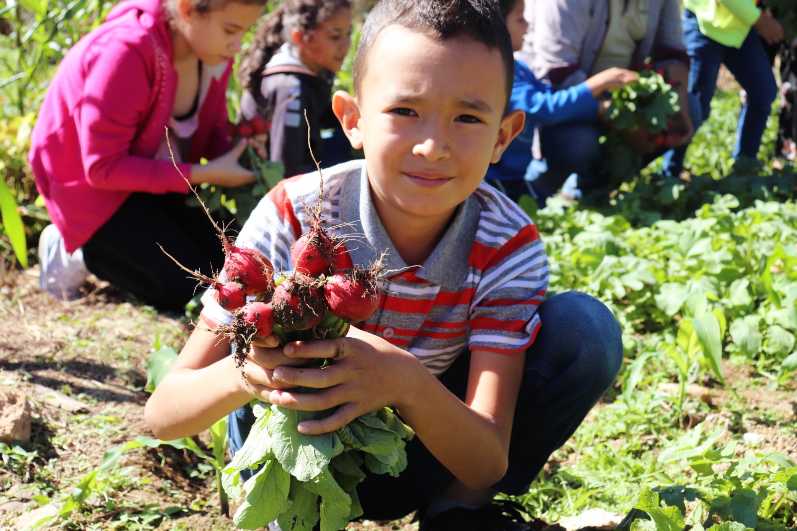 Proyecto de electrificación